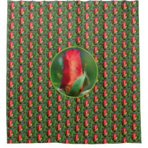 Red Rosebud Watercolor Painting Shower Curtain