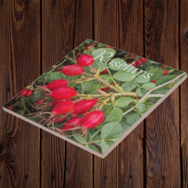 Red Rosehips Botanical Tile (In Situ)