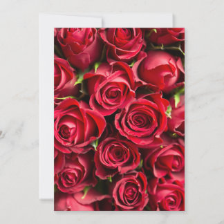 Red Roses