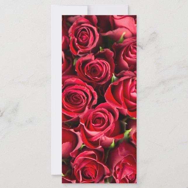 Red Roses (Front)