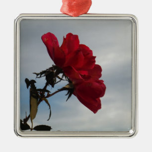 Red Roses Against a Bright Blue Sky Metal Tree Decoration