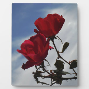 Red Roses Against a Bright Blue Sky Plaque