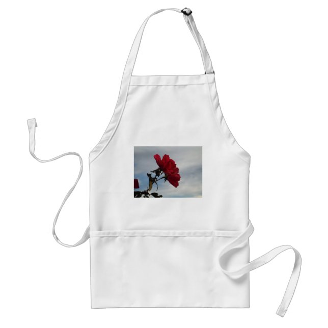 Red Roses Against a Bright Blue Sky Standard Apron (Front)