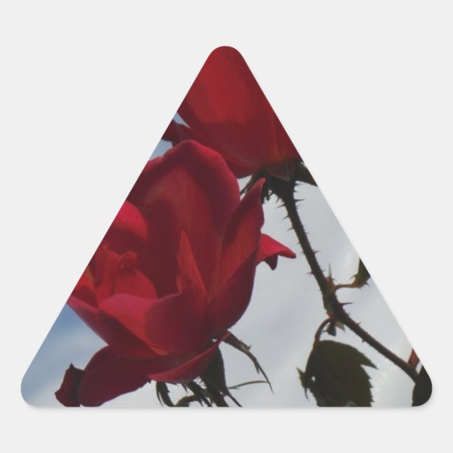 Red Roses Against a Bright Blue Sky Triangle Sticker (Front)