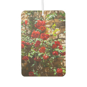 Red Roses Against a Stone Wall Car Air Freshener