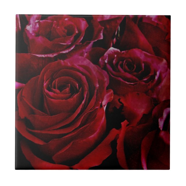 Red Roses all around Tile (Front)