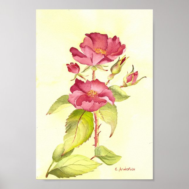 Red roses and buds watecolor yellow background poster (Front)