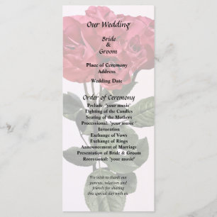 Red Roses and Leaves Programme