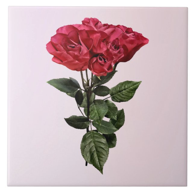 Red Roses and Leaves Tile (Front)