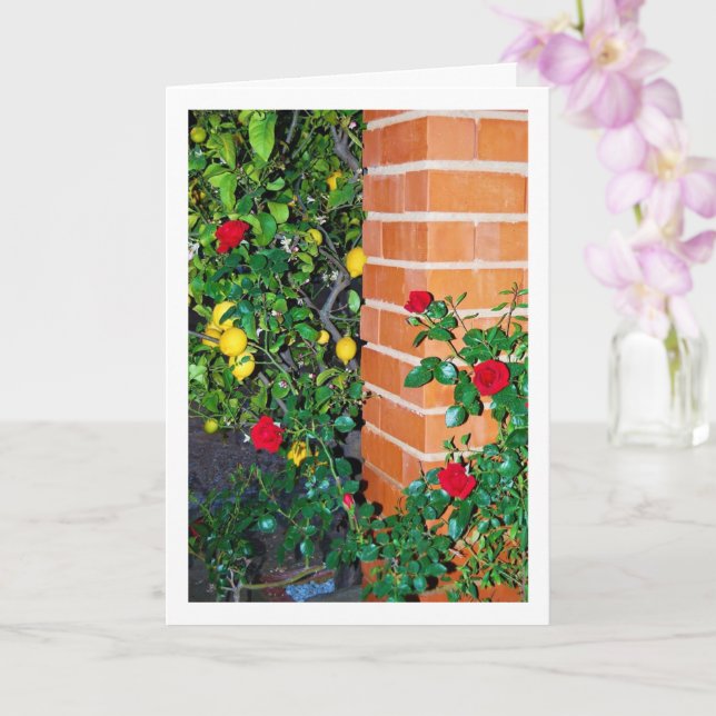 Red Roses and Lemons Card (Orchid)