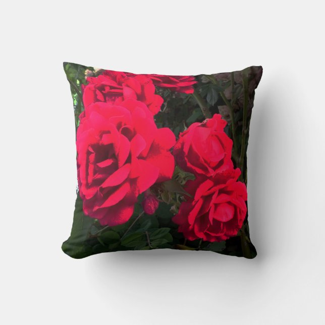Red Roses Blooming  Cushion (Front)