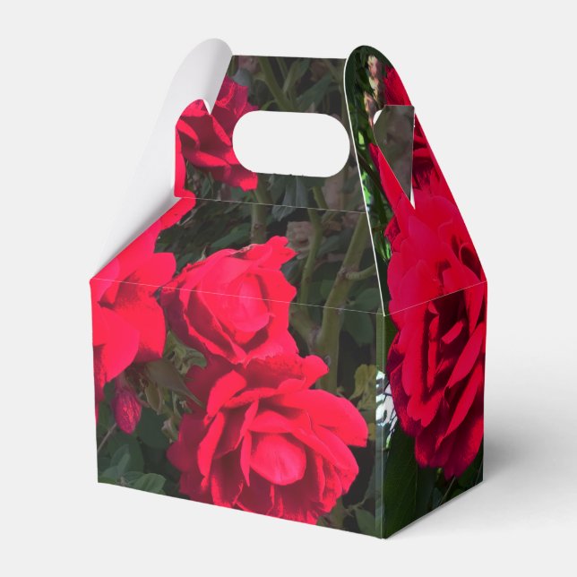 Red Roses blooming  Favour Box (Front Side)
