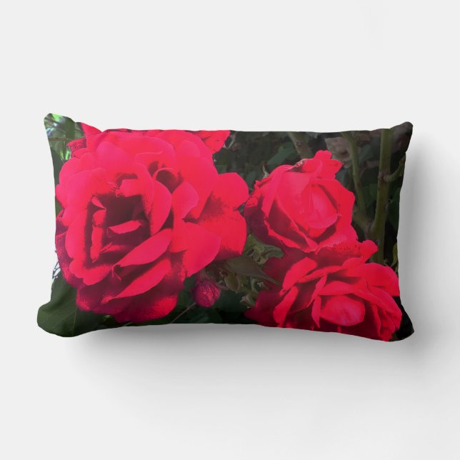 Red Roses Blooming  Lumbar Cushion (Front)