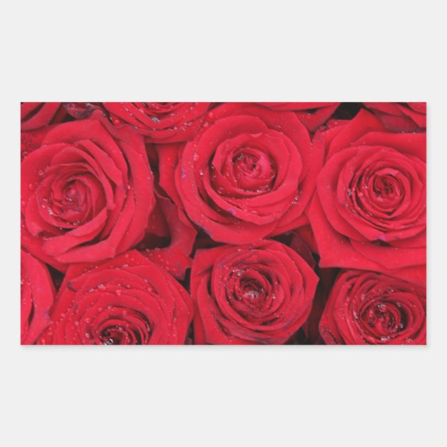 Red roses by Therosegarden Rectangular Sticker (Front)