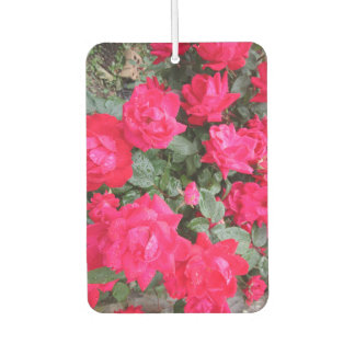 RED ROSES CAR AIR FRESHENER