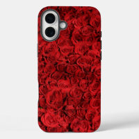 Red Roses Close Up Photo