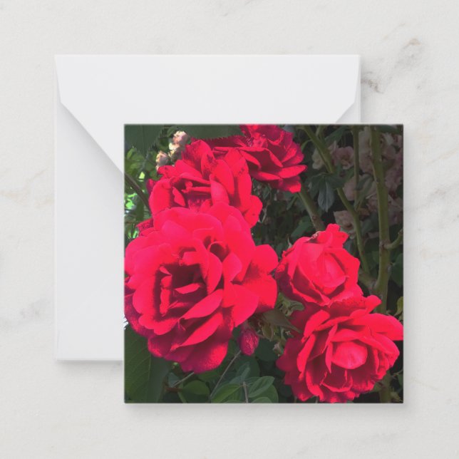 Red Roses Flowers Card (Front)