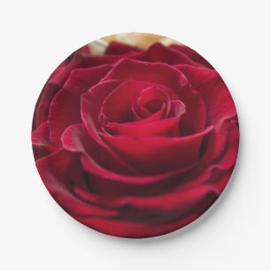 Red roses flowers floral romantic nature botanical paper plate