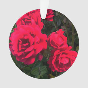 Red Roses Flowers   Ornament