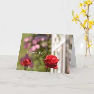 Red Roses Garden Love You Card