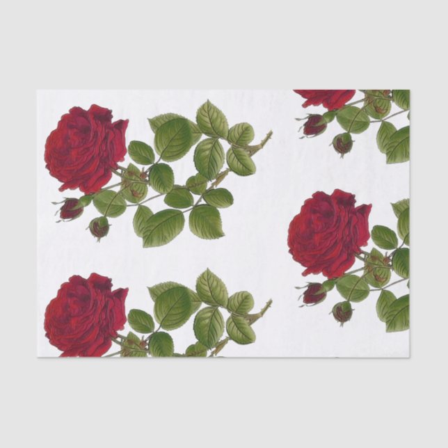 Red Roses Garden Tissue Paper 10"x15" (Front)