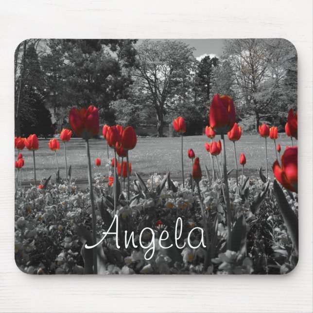 red roses in black and white garden photography mouse pad (Front)