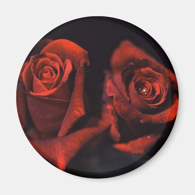 Red Roses Magnet (Front)