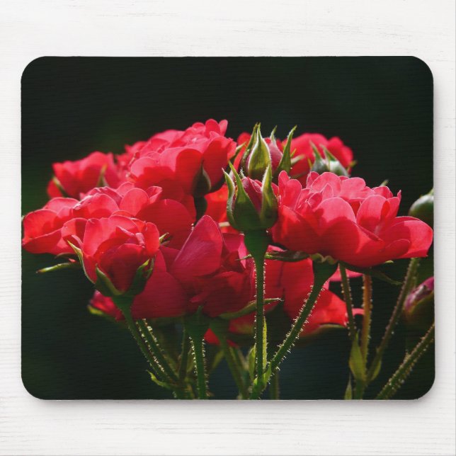Red Roses Mouse Pad (Front)