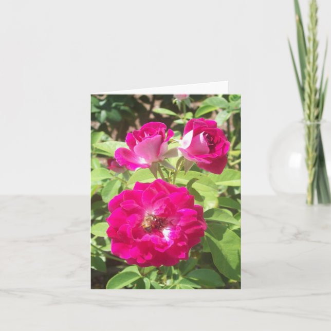 Red Roses Photo Folded Note Card (Front)