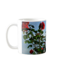 Red roses photo name greetings birthday