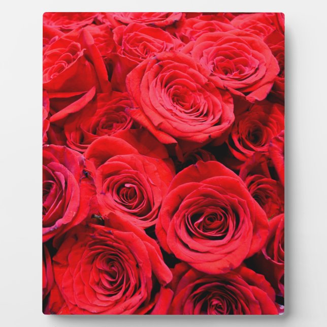 Red Roses Plaque (Front)