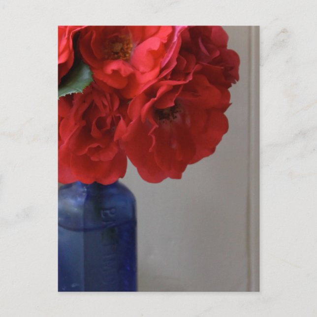 red roses postcard (Front)