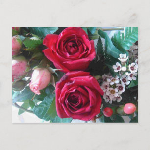 Red Roses Postcard