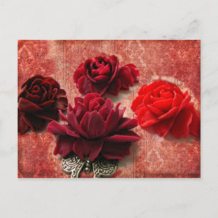 Red Roses Postcard