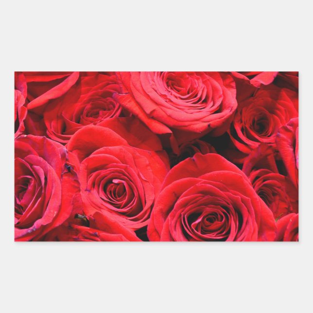 Red Roses red floral red flowers Rectangular Sticker (Front)