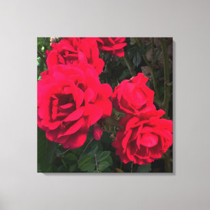 Red Roses Rosarium Canvas Print