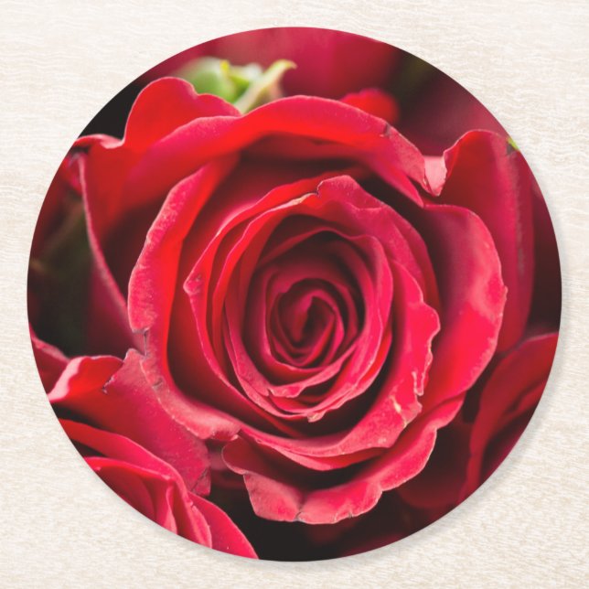 Red Roses Round Paper Coaster (Front)