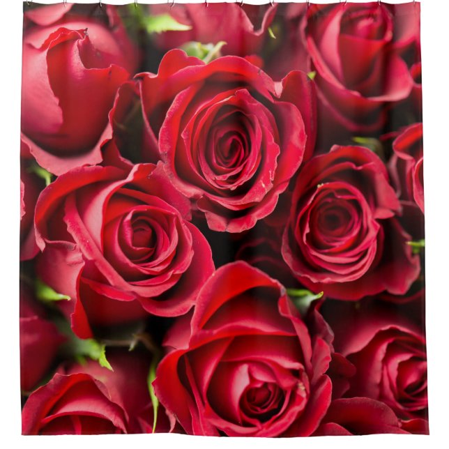 Red roses shower curtain (Front)