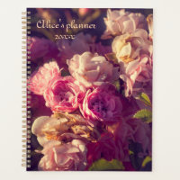 Red roses shrub personalise 