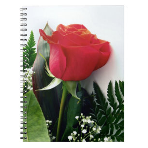 Red roses spiral notebook
