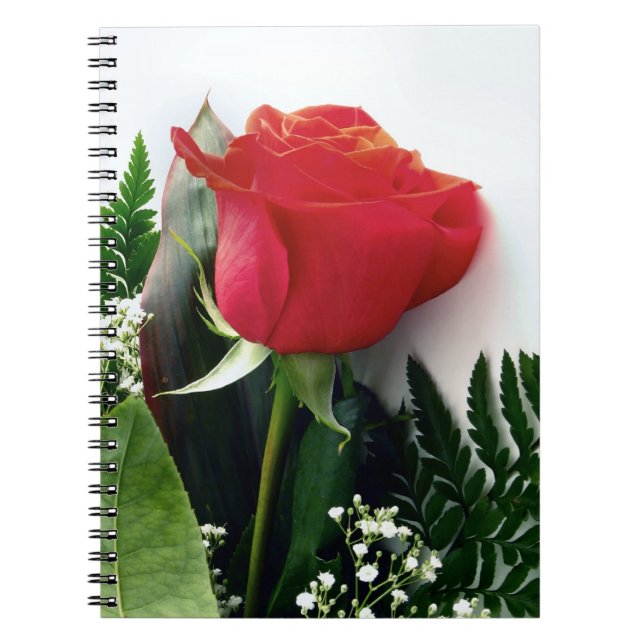 Red roses spiral notebook (Front)
