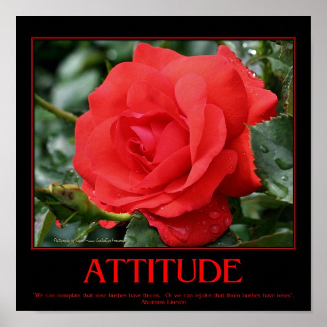 Red Roses Thorns Inspirational Attitude Quote Poster (Front)