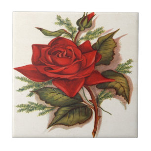 Red Roses Tile