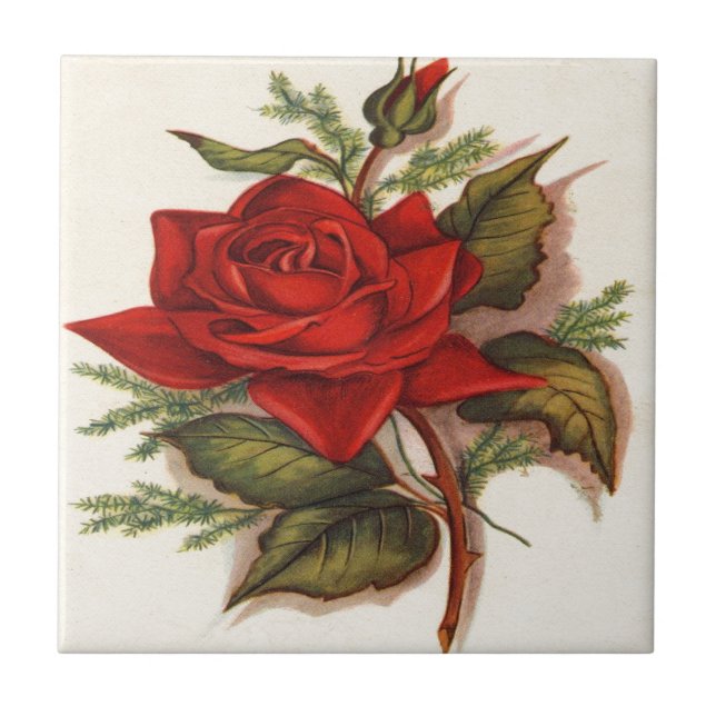 Red Roses Tile (Front)