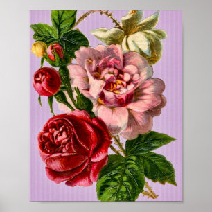 Red Roses Vintage Floral Poster