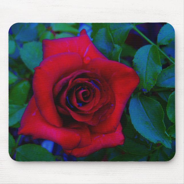 Red Roses with blue tones Mouse Pad (Front)