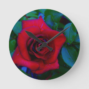 Red Roses with blue tones Round Clock