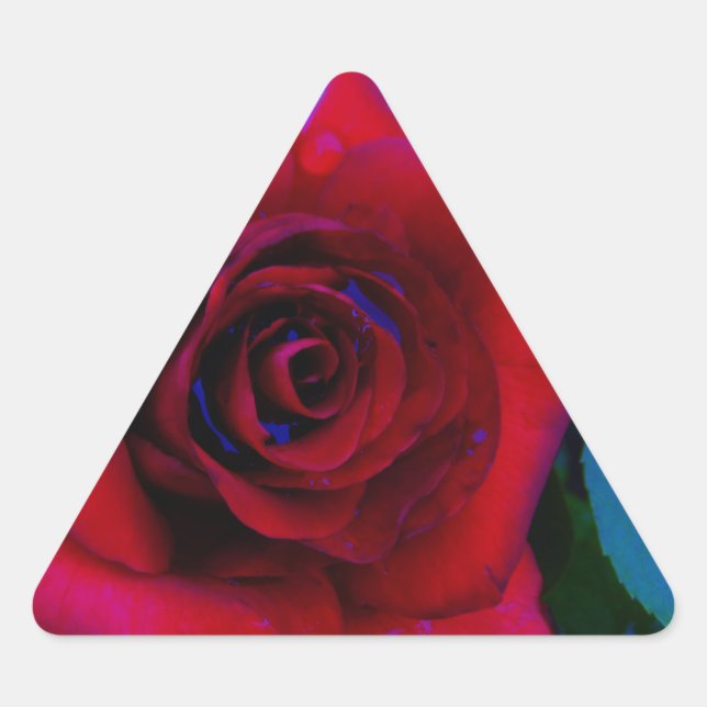 Red Roses with blue tones Triangle Sticker (Front)
