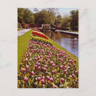 Red Roundhay Park, Leeds, England flowers Postcard