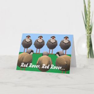 Red Rover Birthday Card